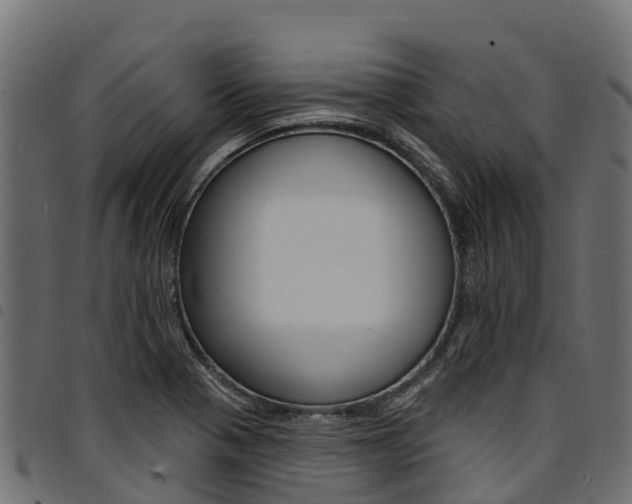 X0000094961321200711291119