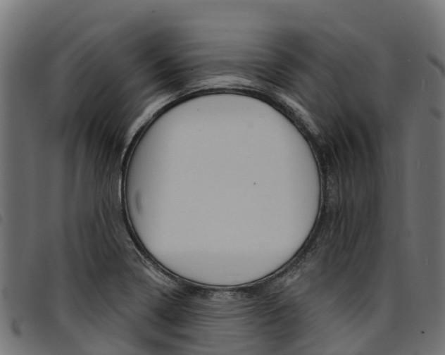 X0000094961322200711291119