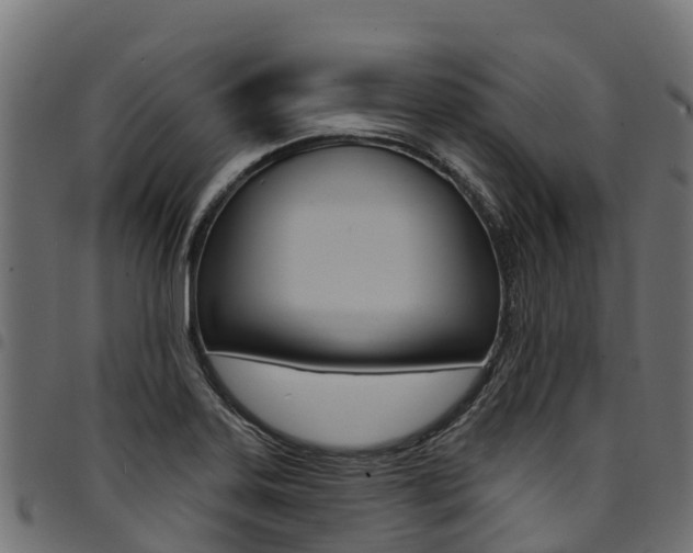 X0000094961323200711291119