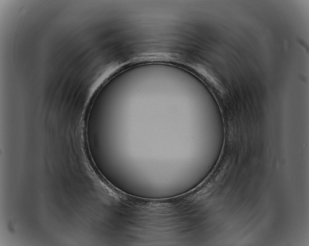 X0000094961325200711291119