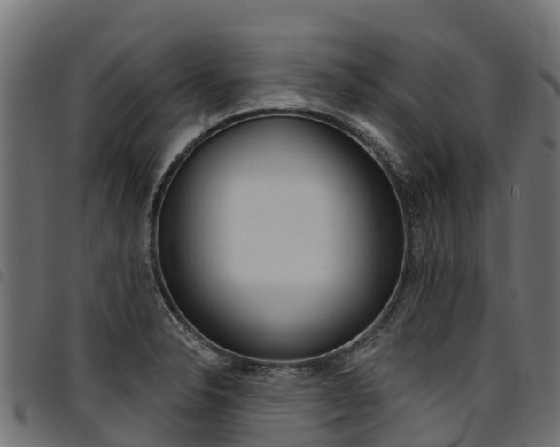 X0000094961326200711291119