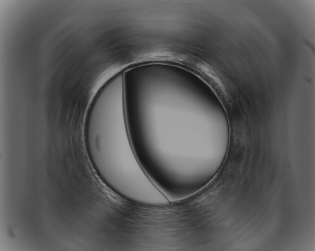 X0000094961328200711291119
