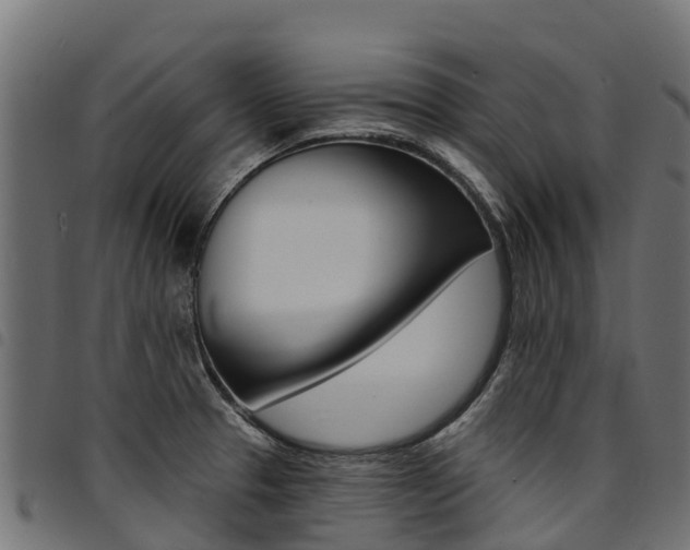 X0000094961329200711291119