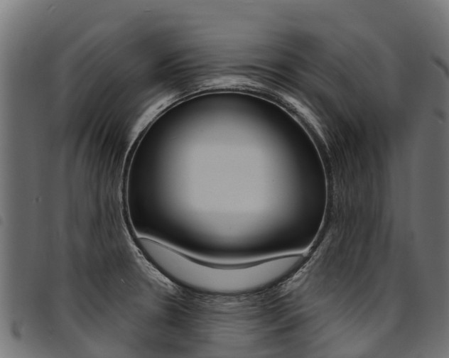 X0000094961330200711291119