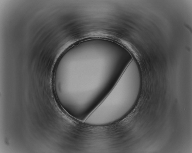 X0000094961331200711291119