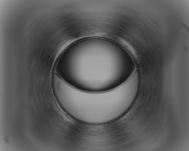 X0000094961332200711291119