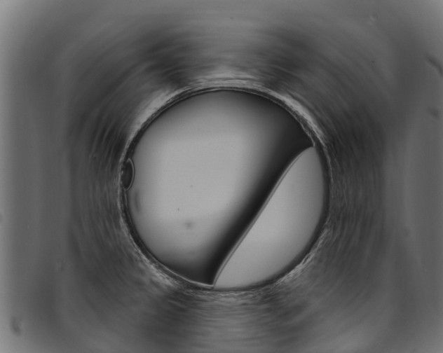 X0000094961333200711291119