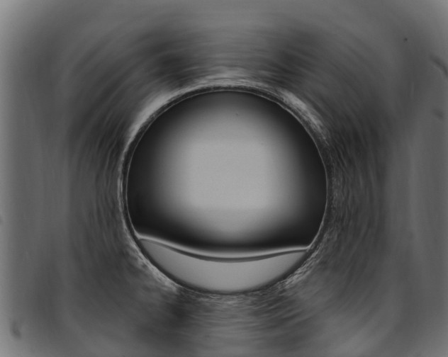 X0000094961334200711291119