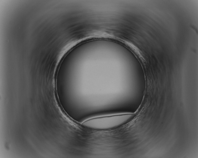 X0000094961335200711291119