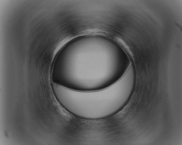X0000094961336200711291119