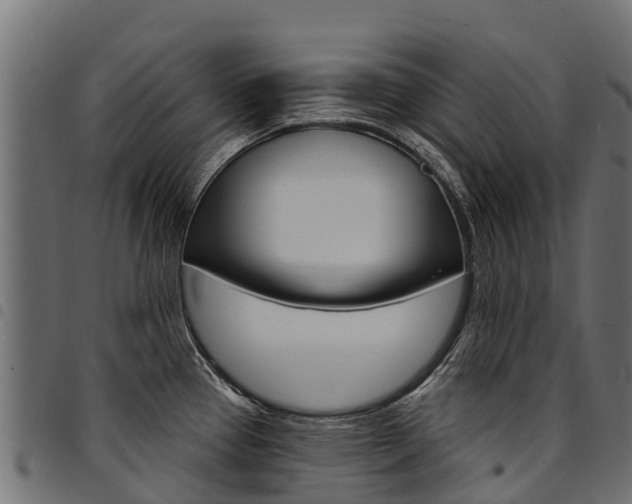 X0000094961337200711291119