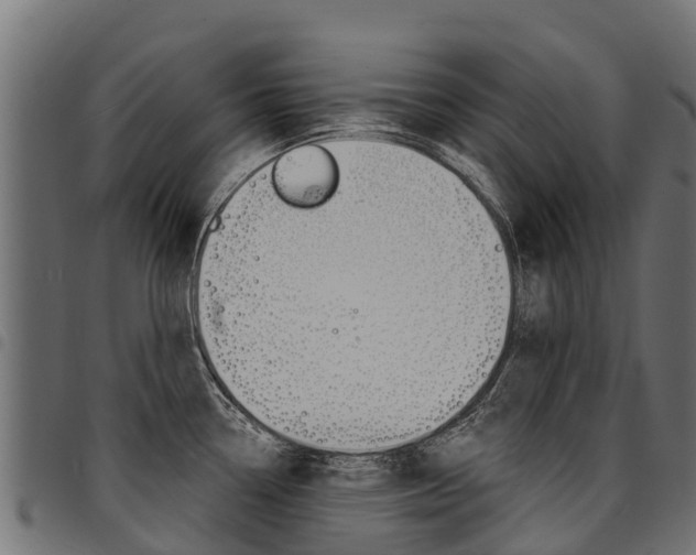 X0000094961338200711291119