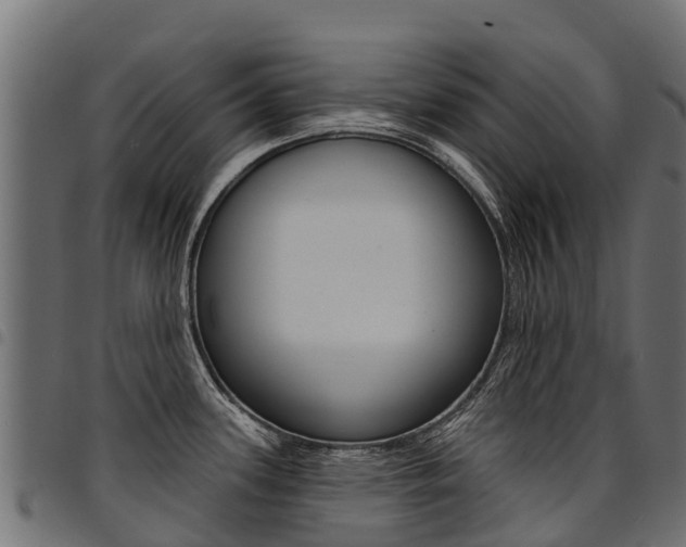 X0000094961339200711291119