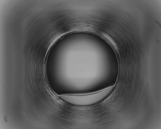 X0000094961340200711291119
