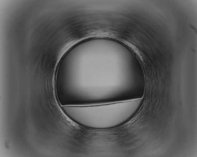 X0000094961343200711291119