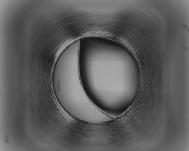 X0000094961344200711291119