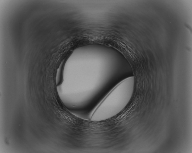 X0000094961345200711291118