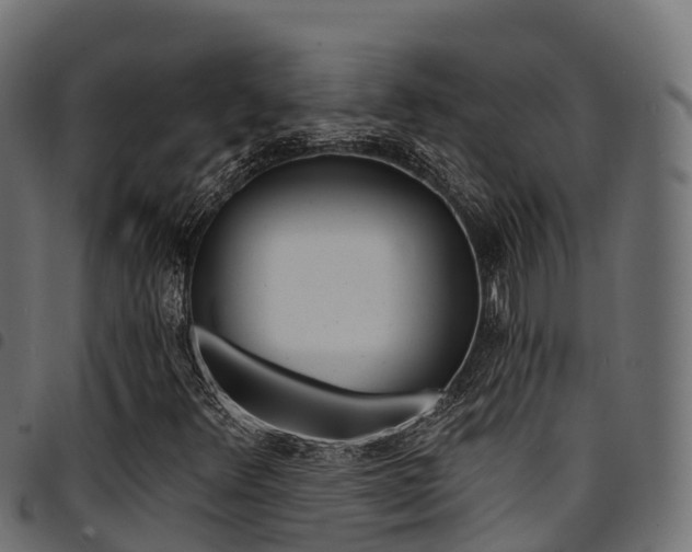 X0000094961348200711291118