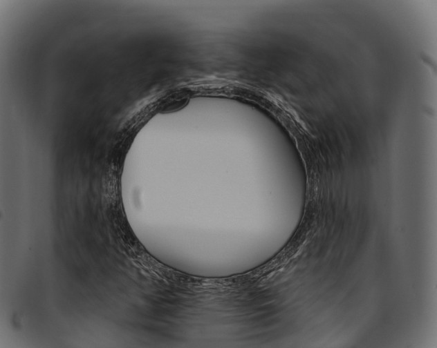 X0000094961350200711291118