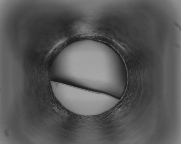 X0000094961351200711291118