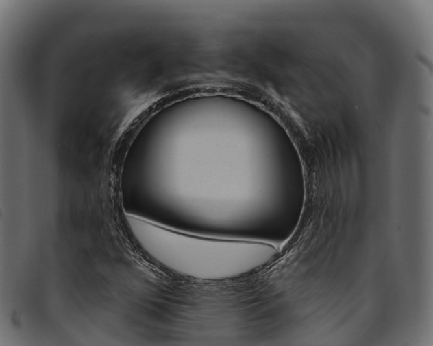 X0000094961352200711291118