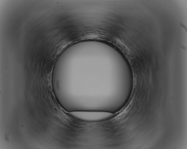 X0000094961353200711291118