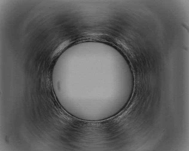 X0000094961354200711291118