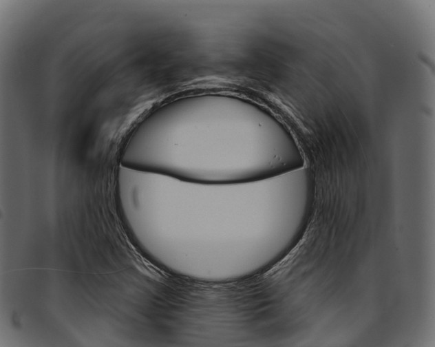 X0000094961355200711291118
