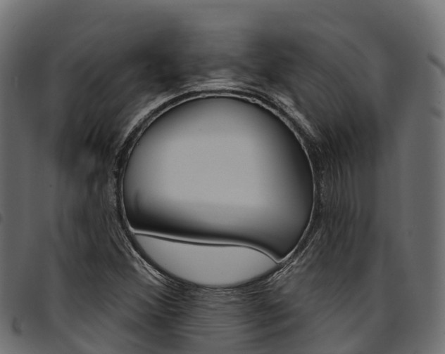 X0000094961356200711291118