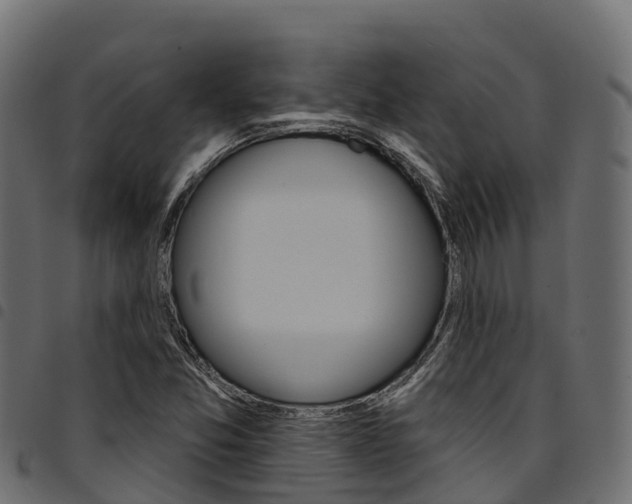 X0000094961357200711291118