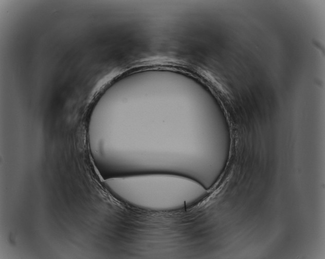 X0000094961358200711291118