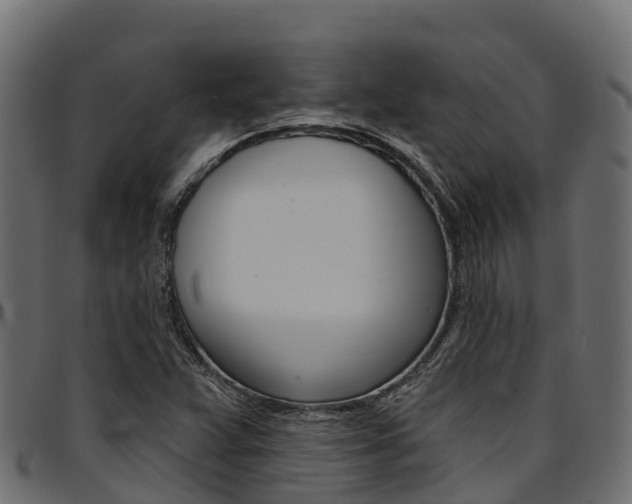 X0000094961359200711291118