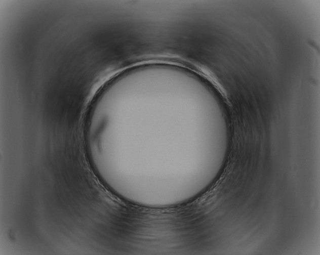 X0000094961360200711291118