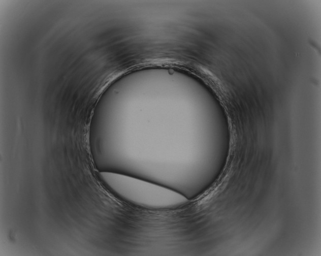 X0000094961361200711291118