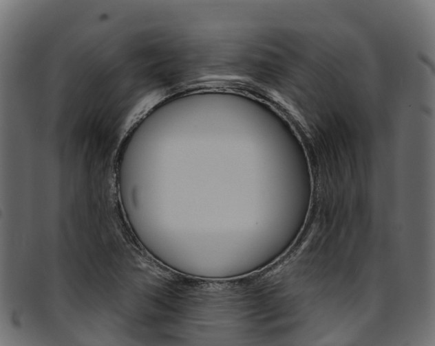 X0000094961362200711291118