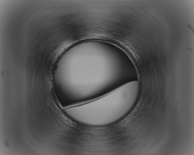 X0000094961363200711291118