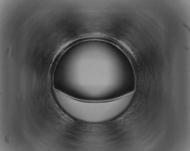 X0000094961364200711291118