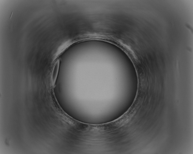 X0000094961365200711291118