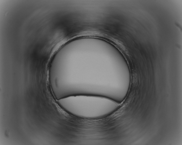 X0000094961366200711291118