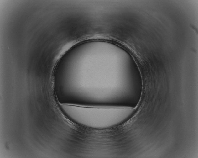 X0000094961367200711291118