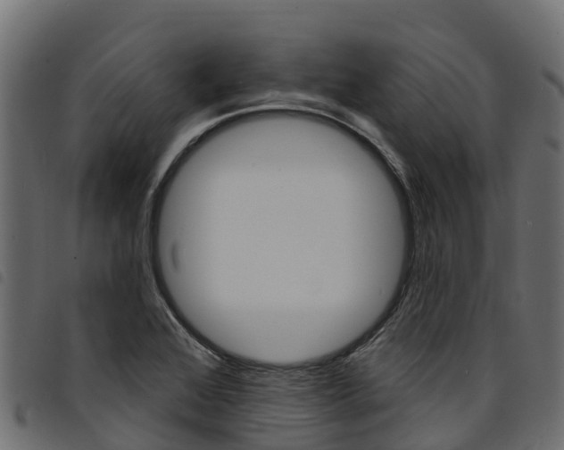 X0000094961368200711291118