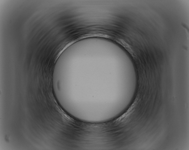 X0000094961369200711291118