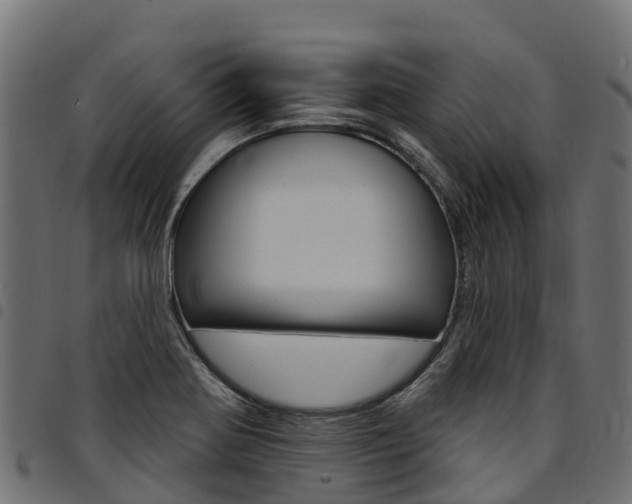 X0000094961370200711291118