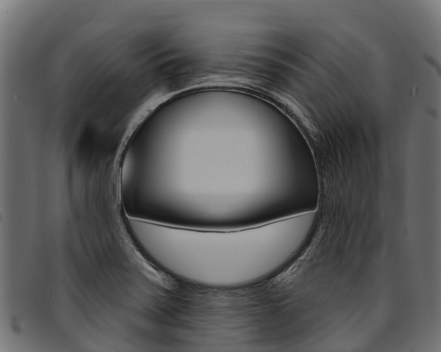 X0000094961371200711291118