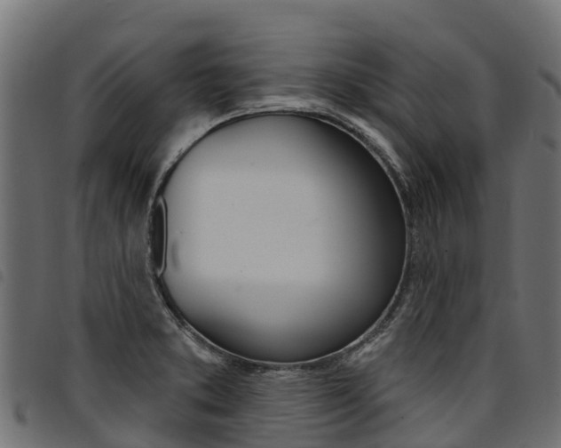X0000094961373200711291118