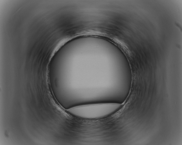 X0000094961374200711291118
