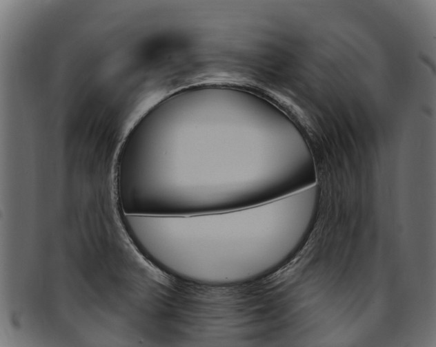 X0000094961375200711291118