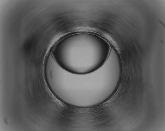 X0000094961376200711291118