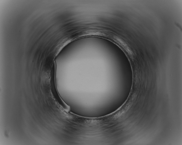 X0000094961377200711291118