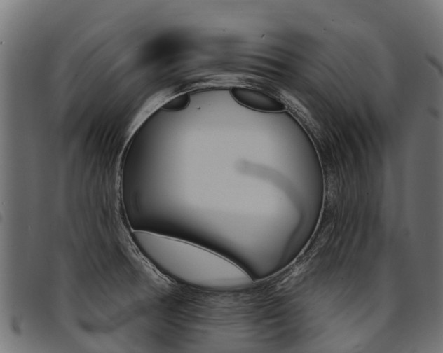 X0000094961378200711291118